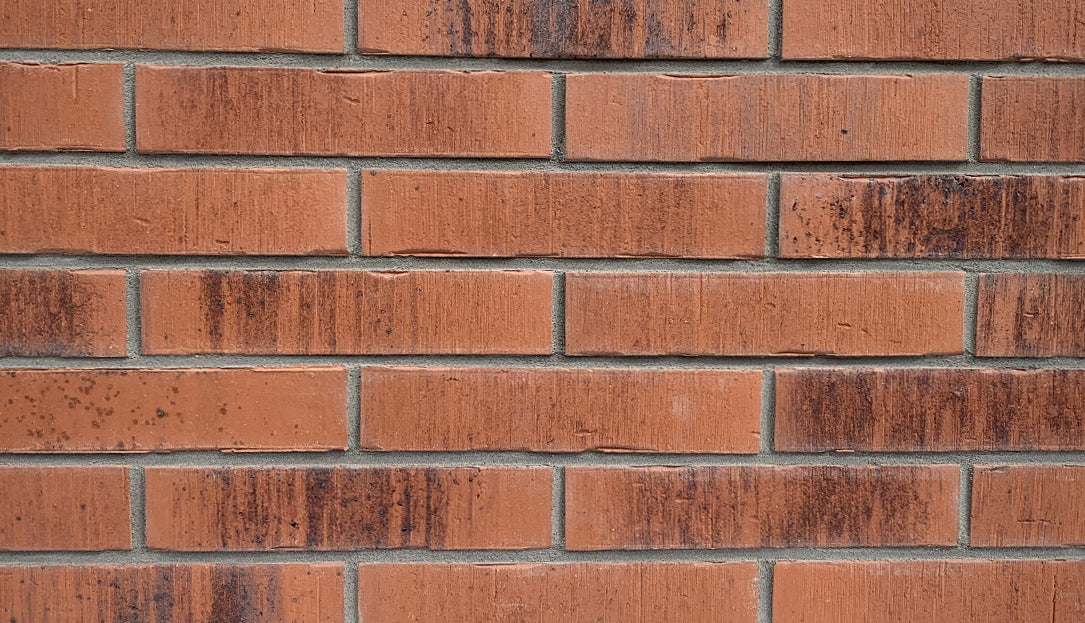 Elche NF-formaat steenstrips Rood online bestellen