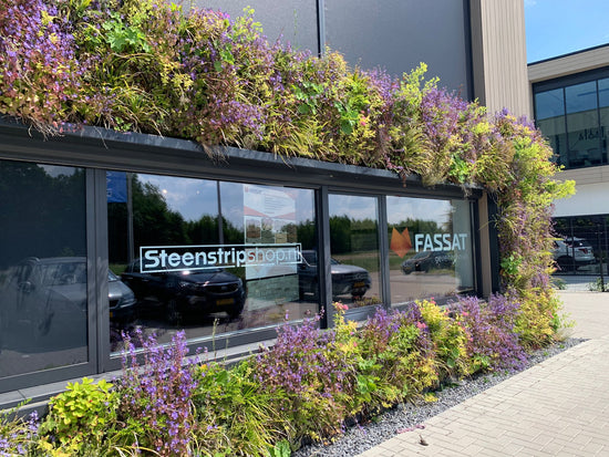 Fassat Gevels & Tegels Voorkant